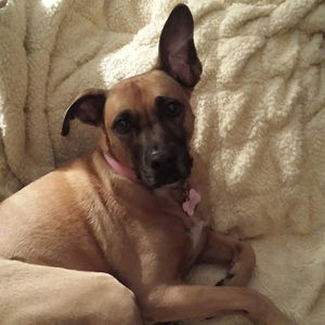 Meet your Posher, Lori